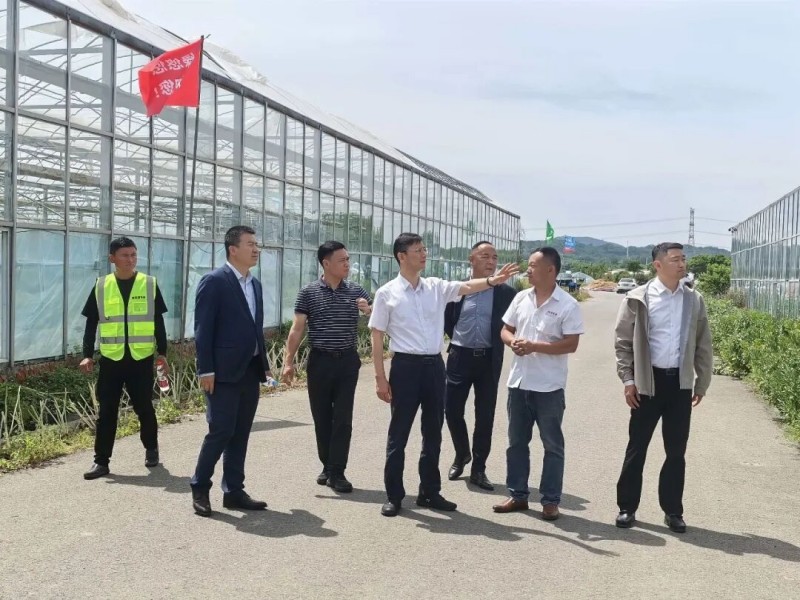 365电竞即时比分网-最新电较量事比分、赛程与了局查问