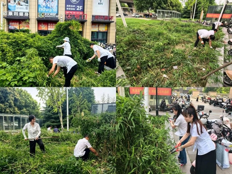 365电竞即时比分网-最新电较量事比分、赛程与了局查问